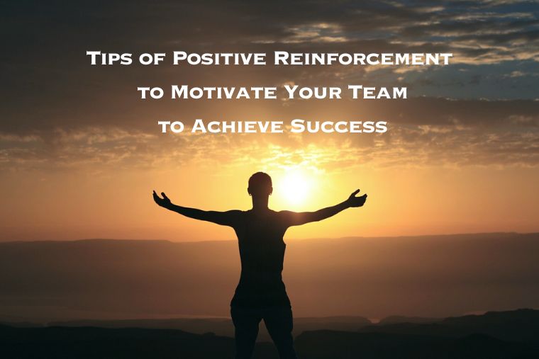 Read more about the article How to Motivate Team Members as a Leader: Exploring the Power of Positive Reinforcement